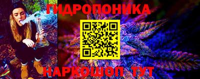 a pvp Пугачёв